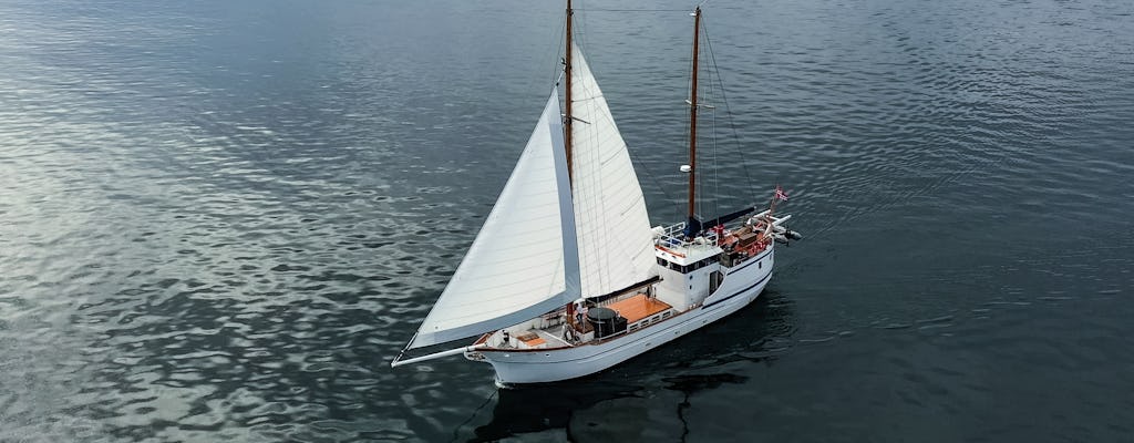 Abendkreuzfahrt in Litlmolla