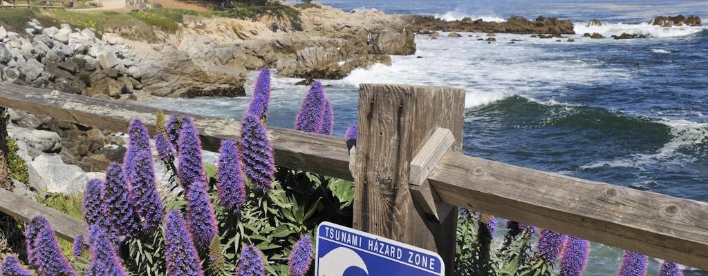 Monterey and Yosemite 2-day tour from San Francisco