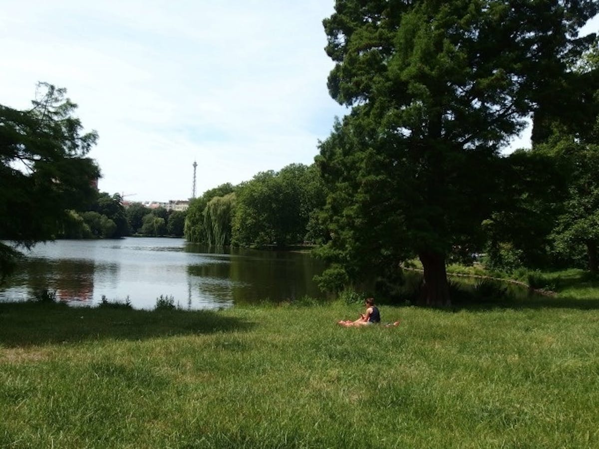 api-media-60777404e2acb7.17321826.jpeg