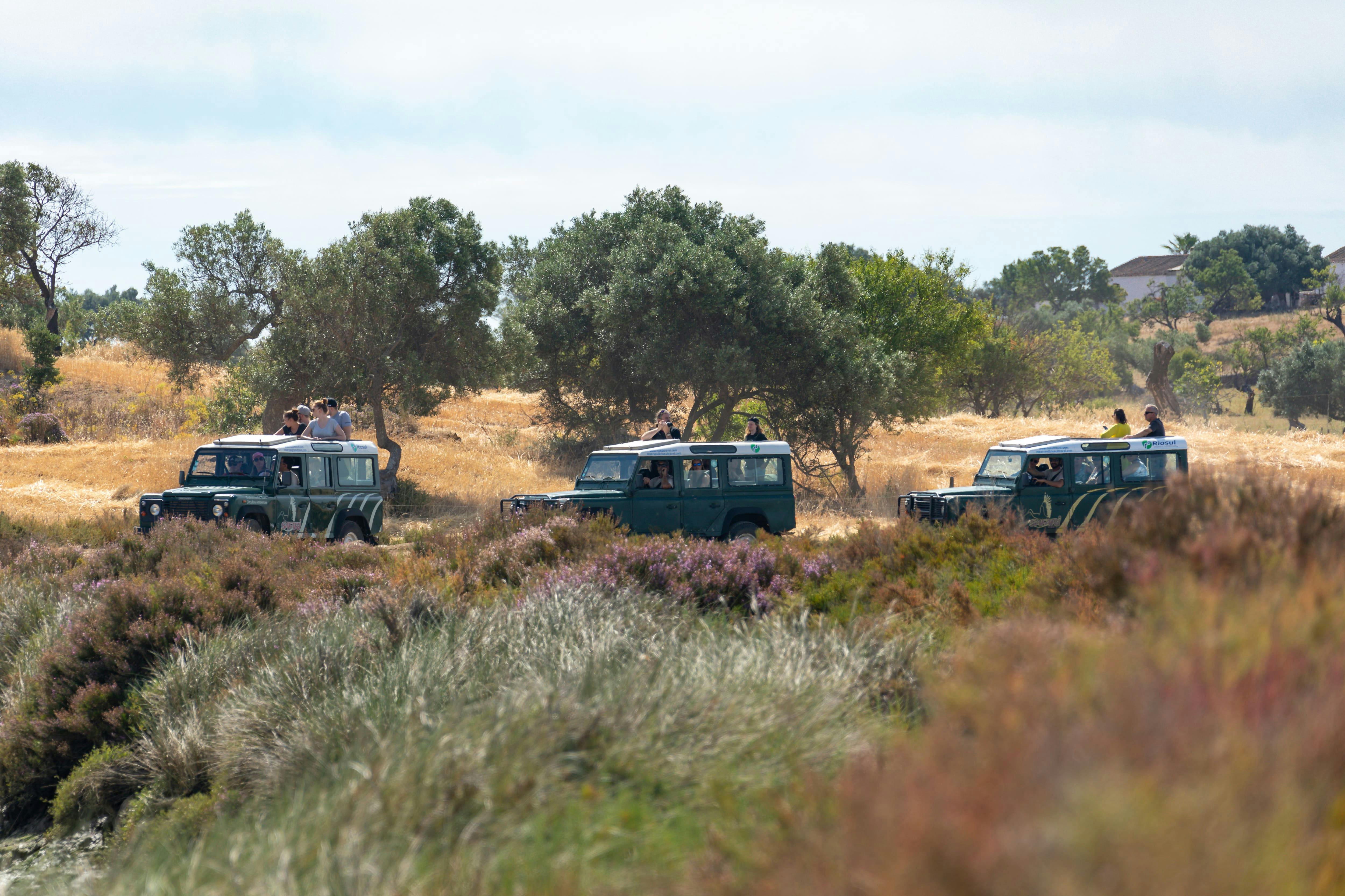 Safari en la Naturaleza del Guadiana Excursión de un día en 4x4