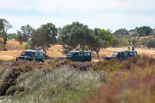 Safari naturalistico del Guadiana Tour di un giorno intero in 4x4