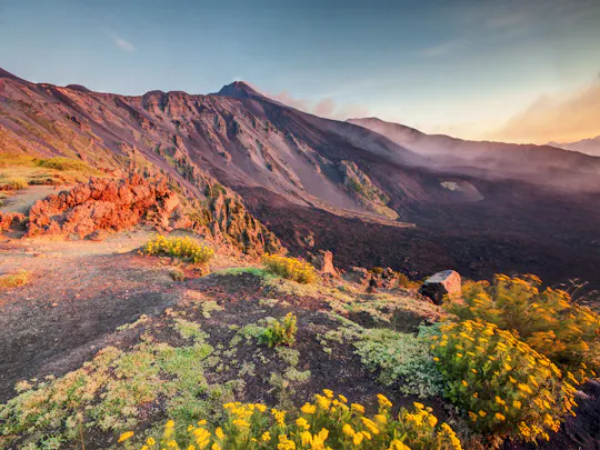 Trektocht op de Etna met proeverij van lokale producten