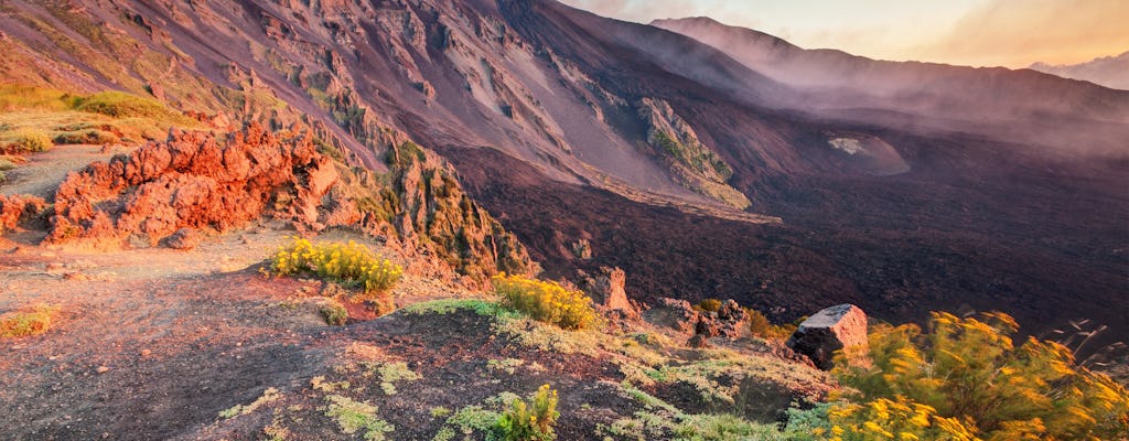 Tour de trekking por el Etna con degustación de productos locales.