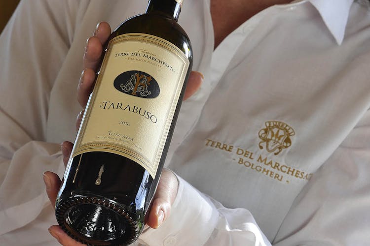 Sensory wine tasting at Terre del Marchesato winery
