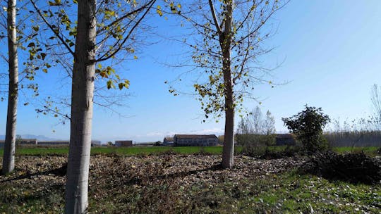 Visite privée de Valderrubio au départ de Grenade