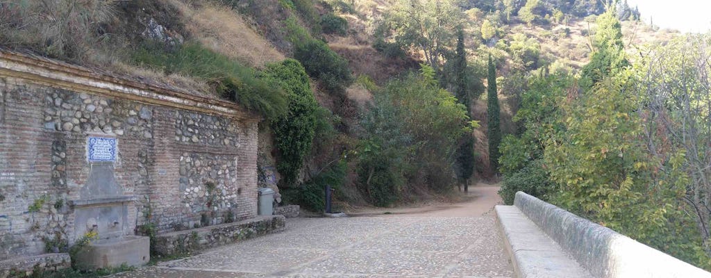 Acequeia Real en Generalife wandelen privétour