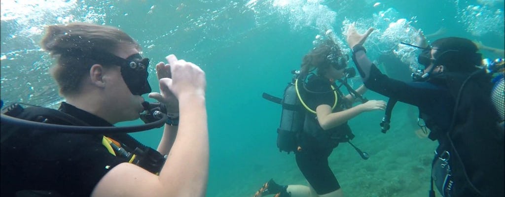 Scuba diving experience in Salou