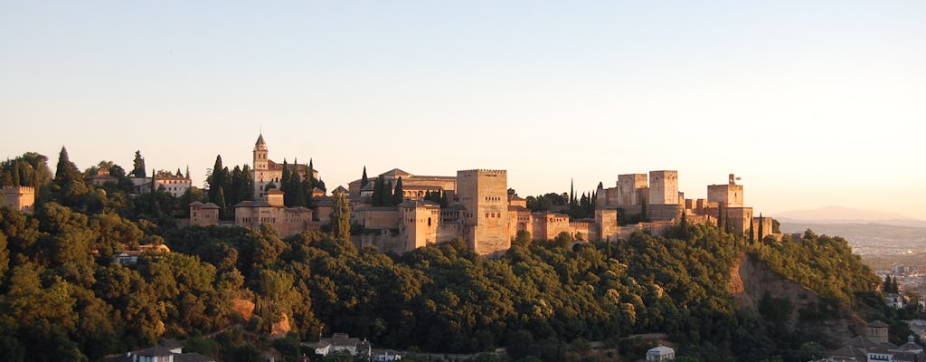 Alhambra and Generalife entrance tickets with premium tour in a small group