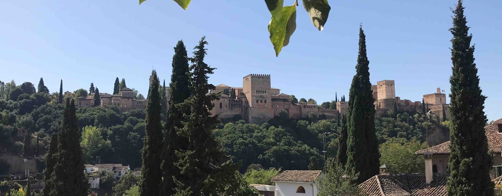 Alhambra and Muslim monuments of Granada private tour