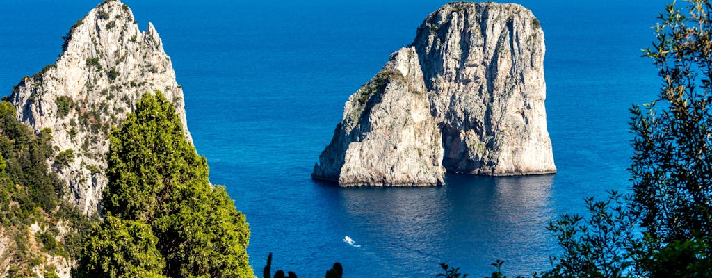 Capri and Anacapri Select with Guided Walking Tour