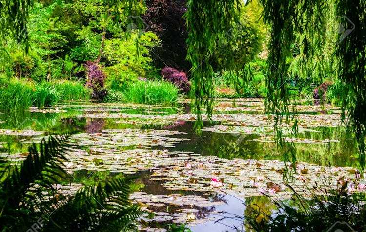 Private full-day tour of Giverny and Rouen from Le Havre