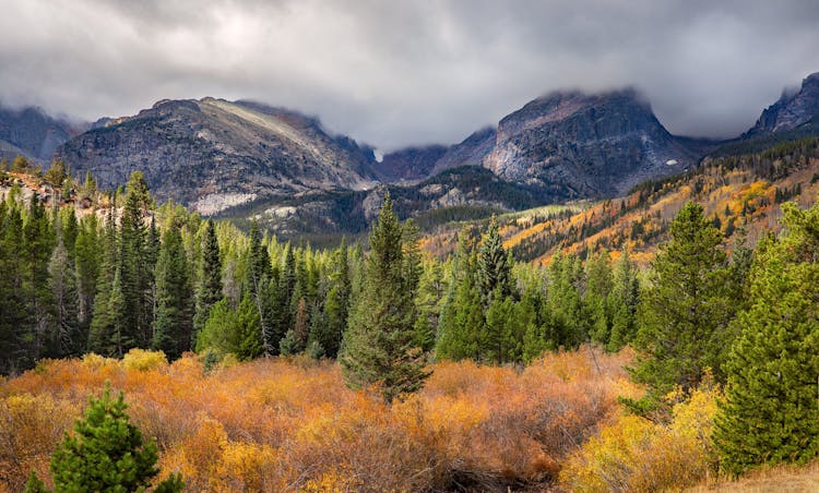 Rocky Mountain National Park tour from Denver