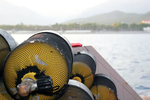 Kusadasi Full Day Scuba Diving from Boat