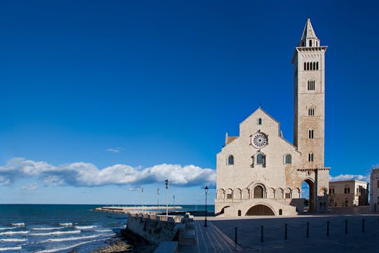 Trani guided tour with an expert guide