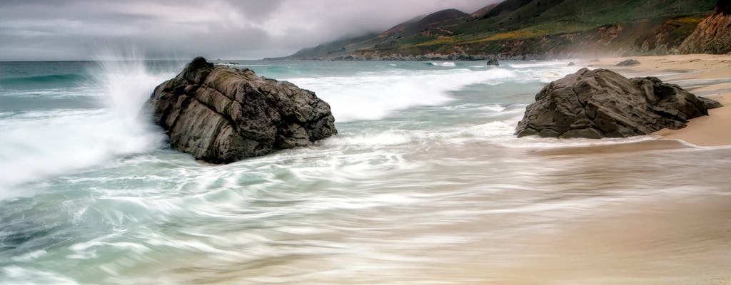 Visite des séquoias, de la côte californienne et de Sausalito