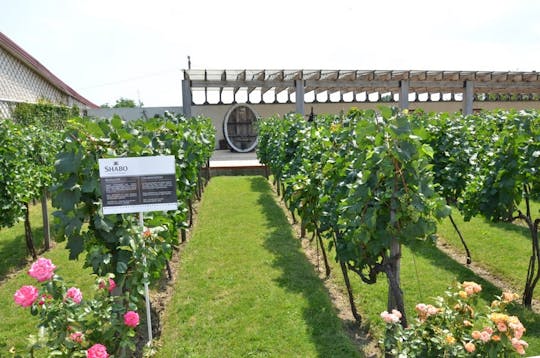 Privédagtocht naar het Akkerman-fort en het Shabo-wijncentrum vanuit Odessa