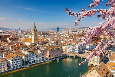 Privérondleiding door de stad het beste van Zürich