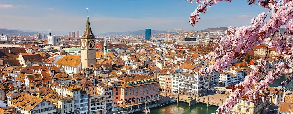 Privérondleiding door de stad het beste van Zürich