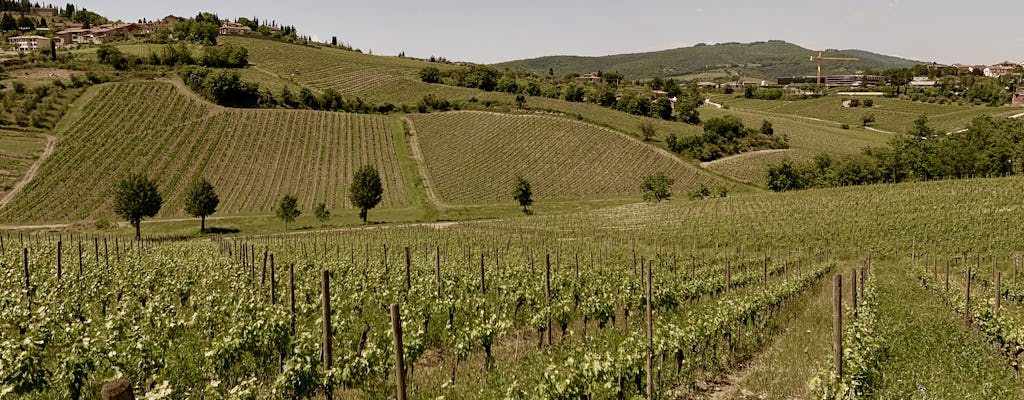 Private wine experience in Chianti and Radda in Chianti