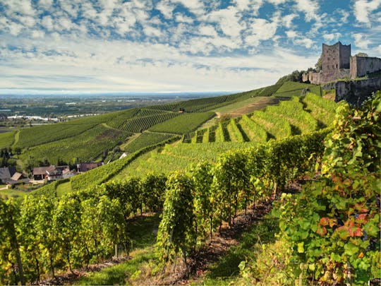 German wine route private full day trip from Strasbourg