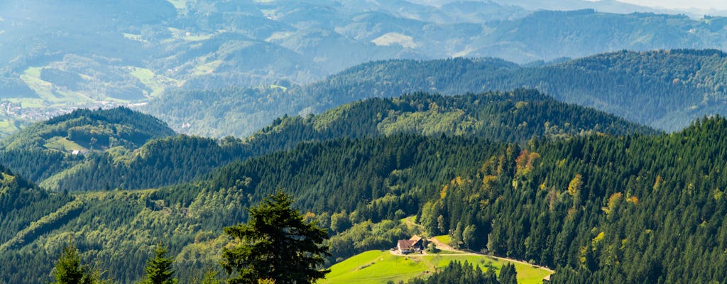 Excursion privée d'une journée à Fribourg et en Forêt-Noire au départ de Strasbourg