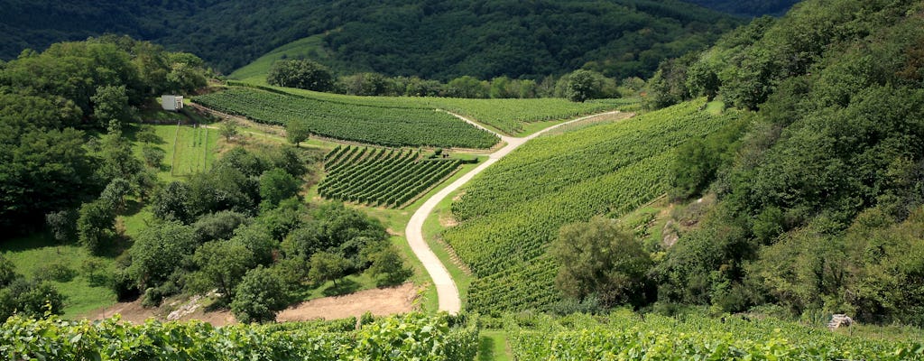 Excursion privée d'une demi-journée dans les villages et les vins d'Alsace au départ de Strasbourg