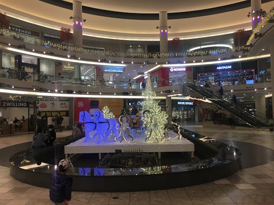 Private Vancouver branded shopping tour