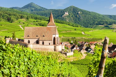 Visite privée d’une journée des vins d’Alsace Grands Crus au départ de Strasbourg