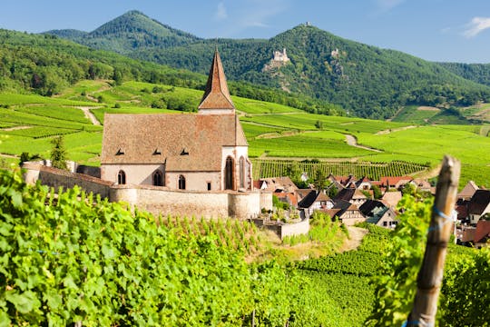 Alsace Grands Crus wines full-day private tour from Strasbourg