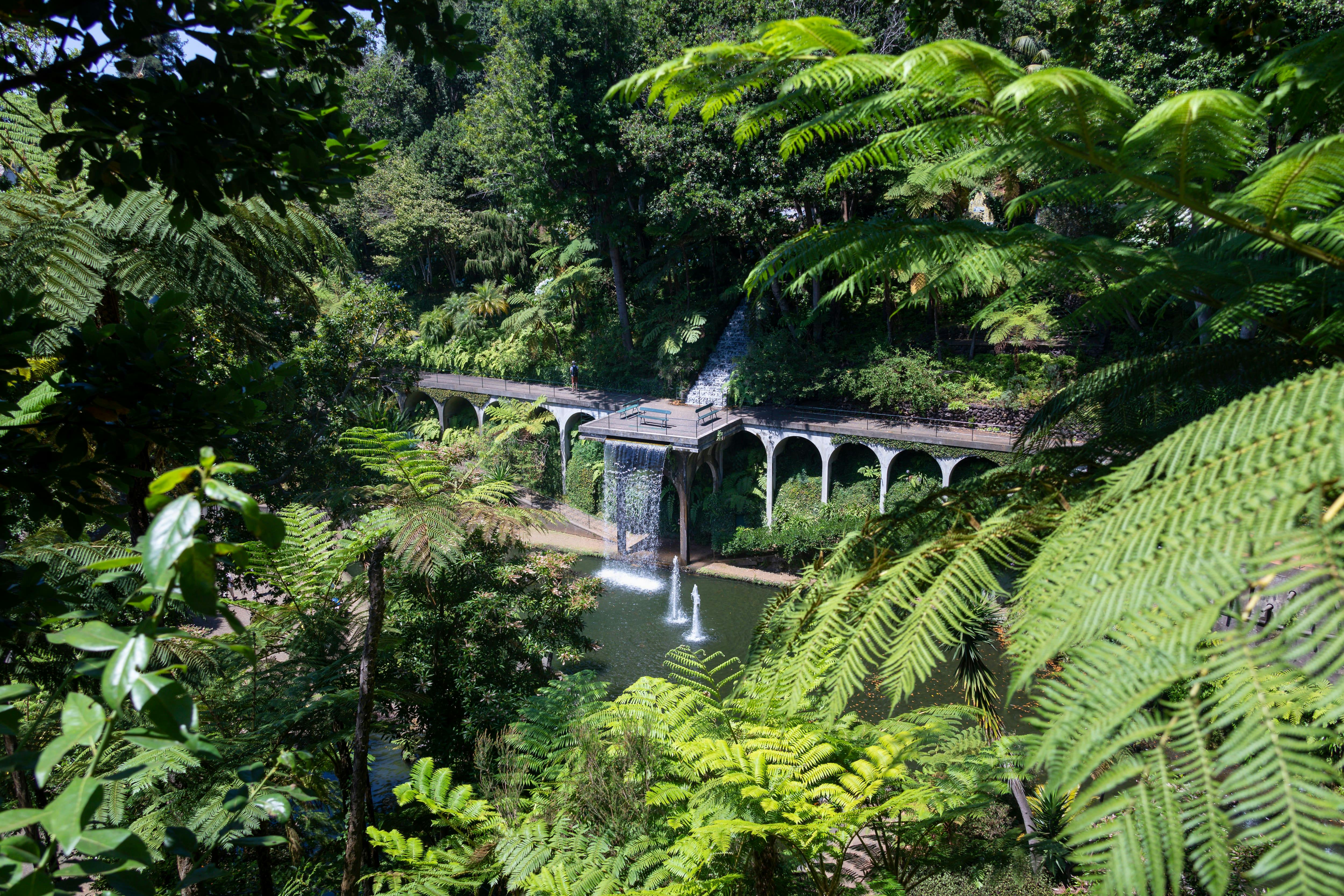 Funchal Blue Line City Sightseeing Tour