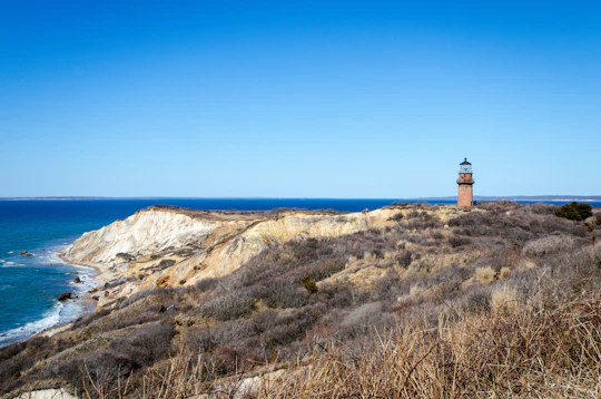 Martha’s Vineyard cliffs and shopping private tour
