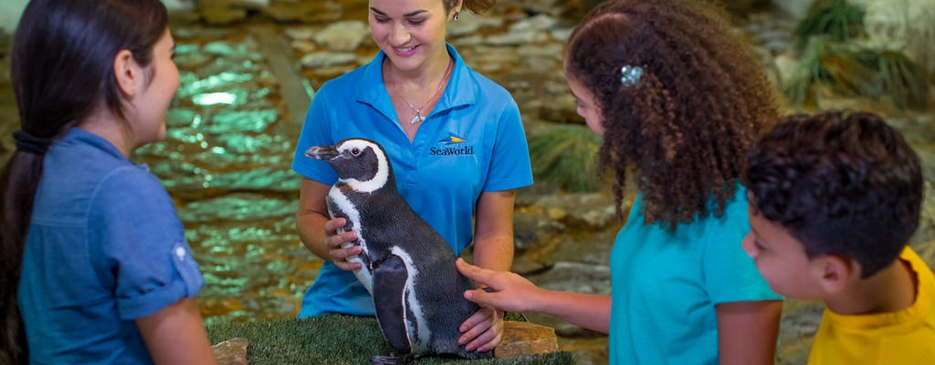 SeaWorld® Orlando Penguin Encounter