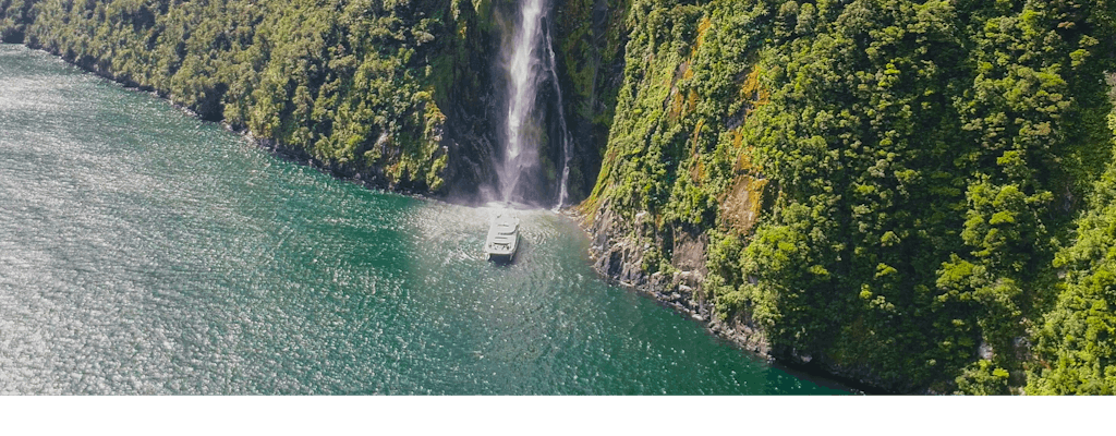 Milford Sound cruise experience