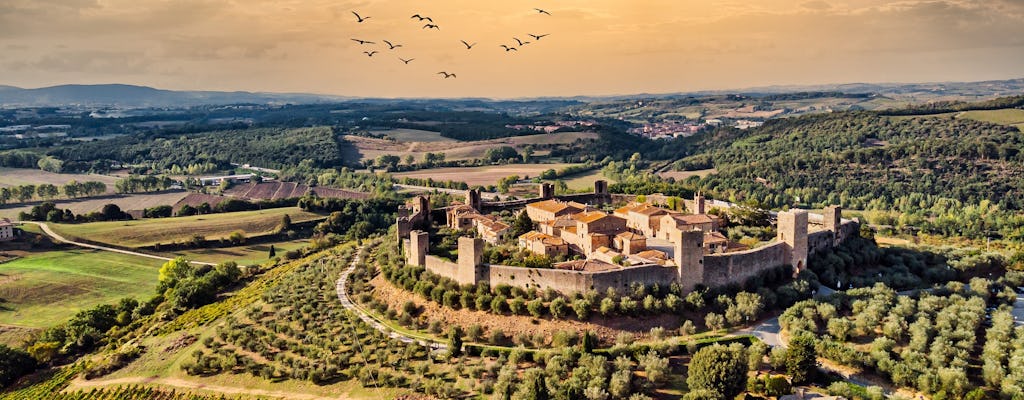 Excursion d'une journée à Sienne et Monteriggioni au départ de Montecatini Terme 