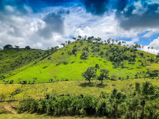 Dominican Countryside Tour
