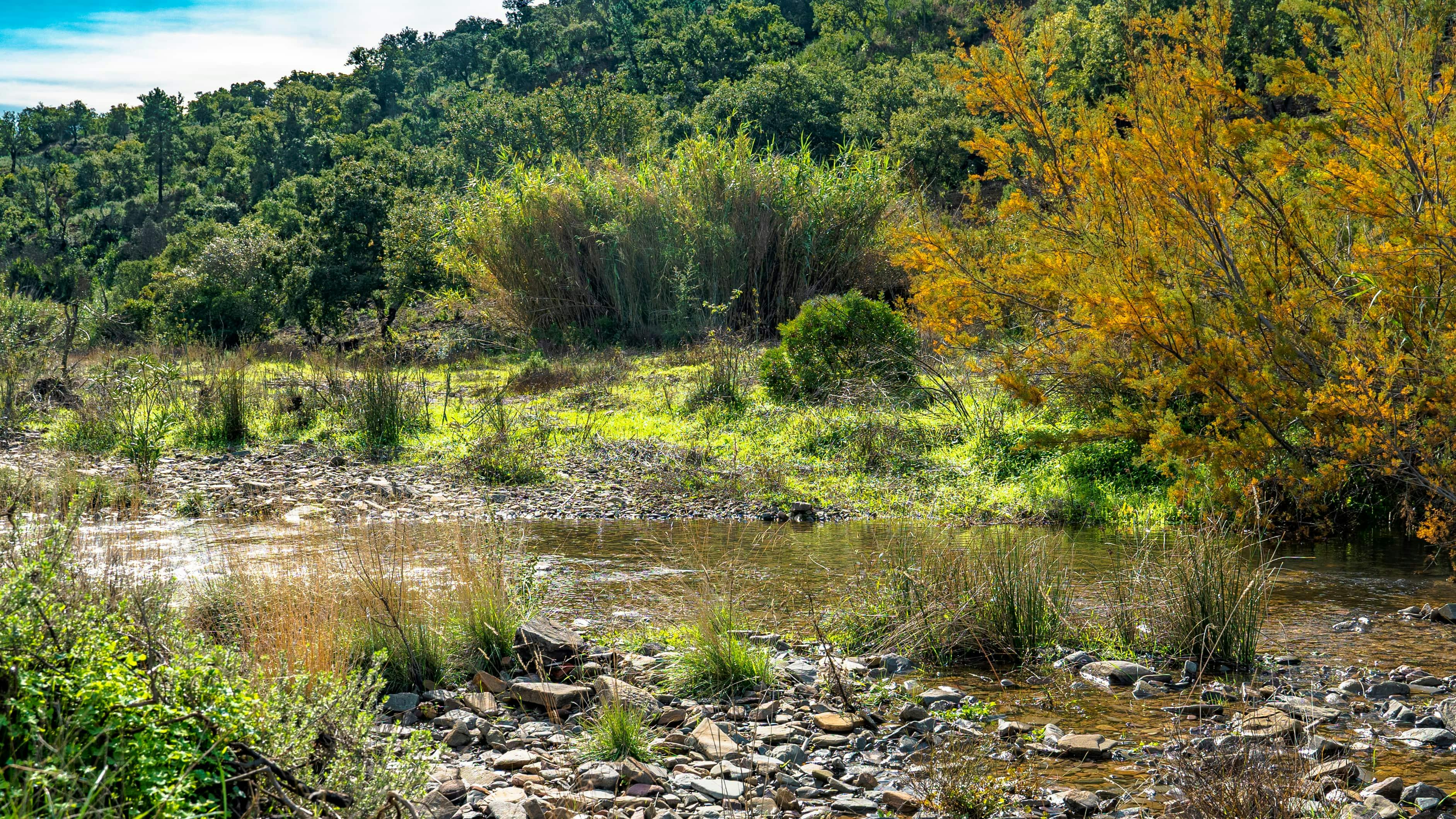 Hidden Algarve 90-Minute Buggy Ticket