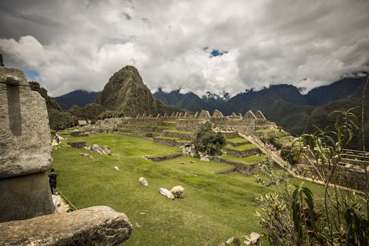 Visite guidée d'une journée complète du Machu Picchu à bord du train Expedition