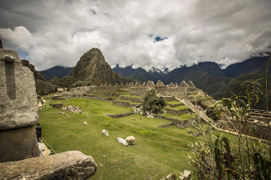 Volledige dag Machu Picchu-rondleiding aan boord van de expeditietrein