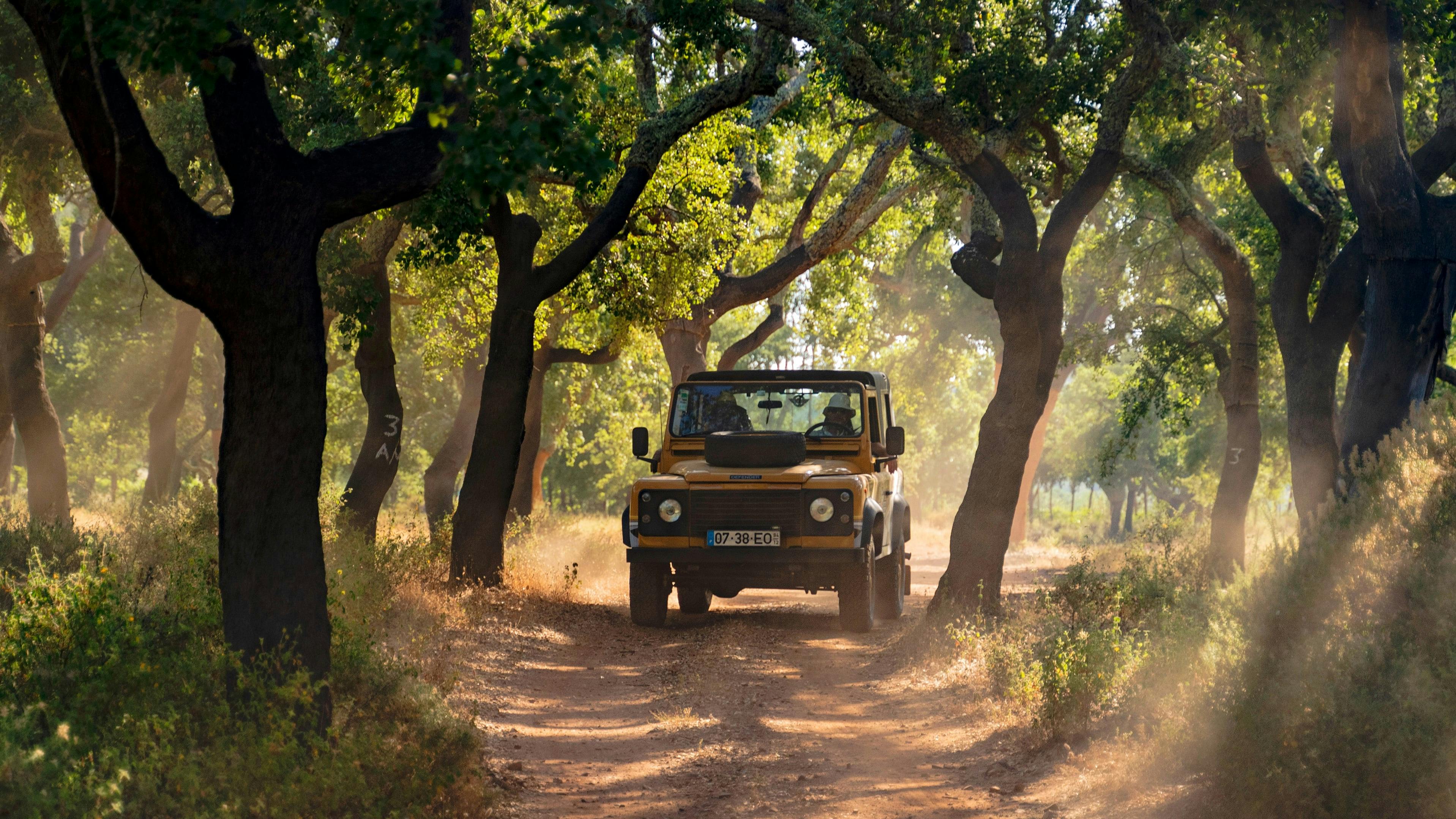 Demi-journée de visite privée en 4x4 en Algarve