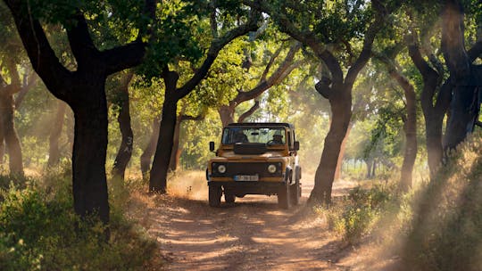 Demi-journée de visite privée en 4x4 en Algarve