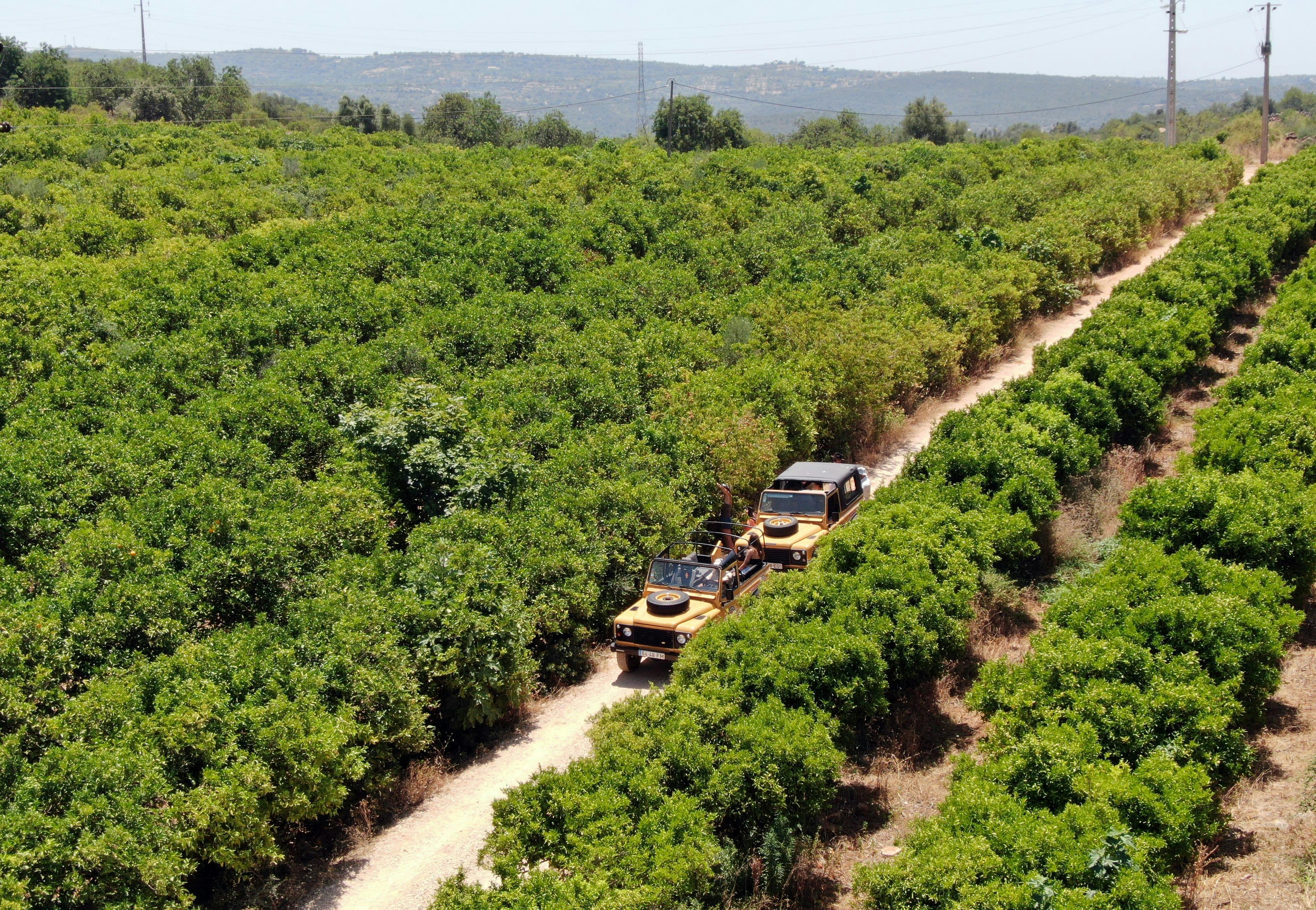 Private 4x4 Hidden Algarve Safari Half-Day Tour