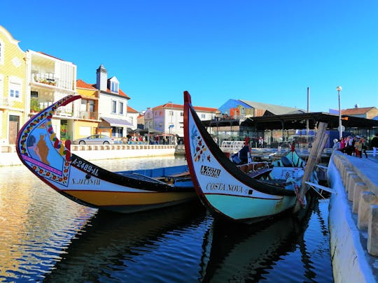 Escursione Aveiro e Costa Nova con tour in barca Moliceiro