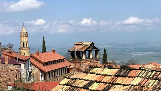 Excursion privée d'une journée au monastère Davit-Gareji et à Sighnaghi au départ de Tbilissi