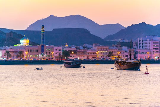 Privé panoramische Muscat-tour van een halve dag