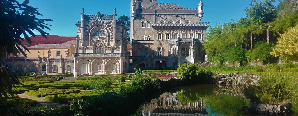 Route de la forêt de Bussaco et des vignobles de Bairrada au départ de Coimbra