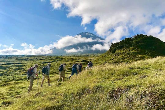 Demi-journée de randonnée pédestre à la Levada de l'île de Faial