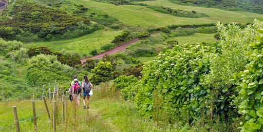 Demi-journée de marche à pied à Rocha da Fajã sur l'île de Faial