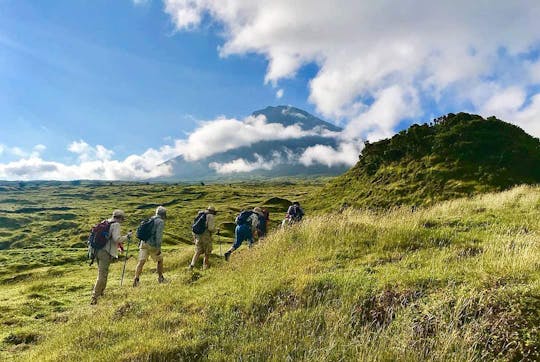 Półdniowa wycieczka piesza lewadami po wyspie Faial