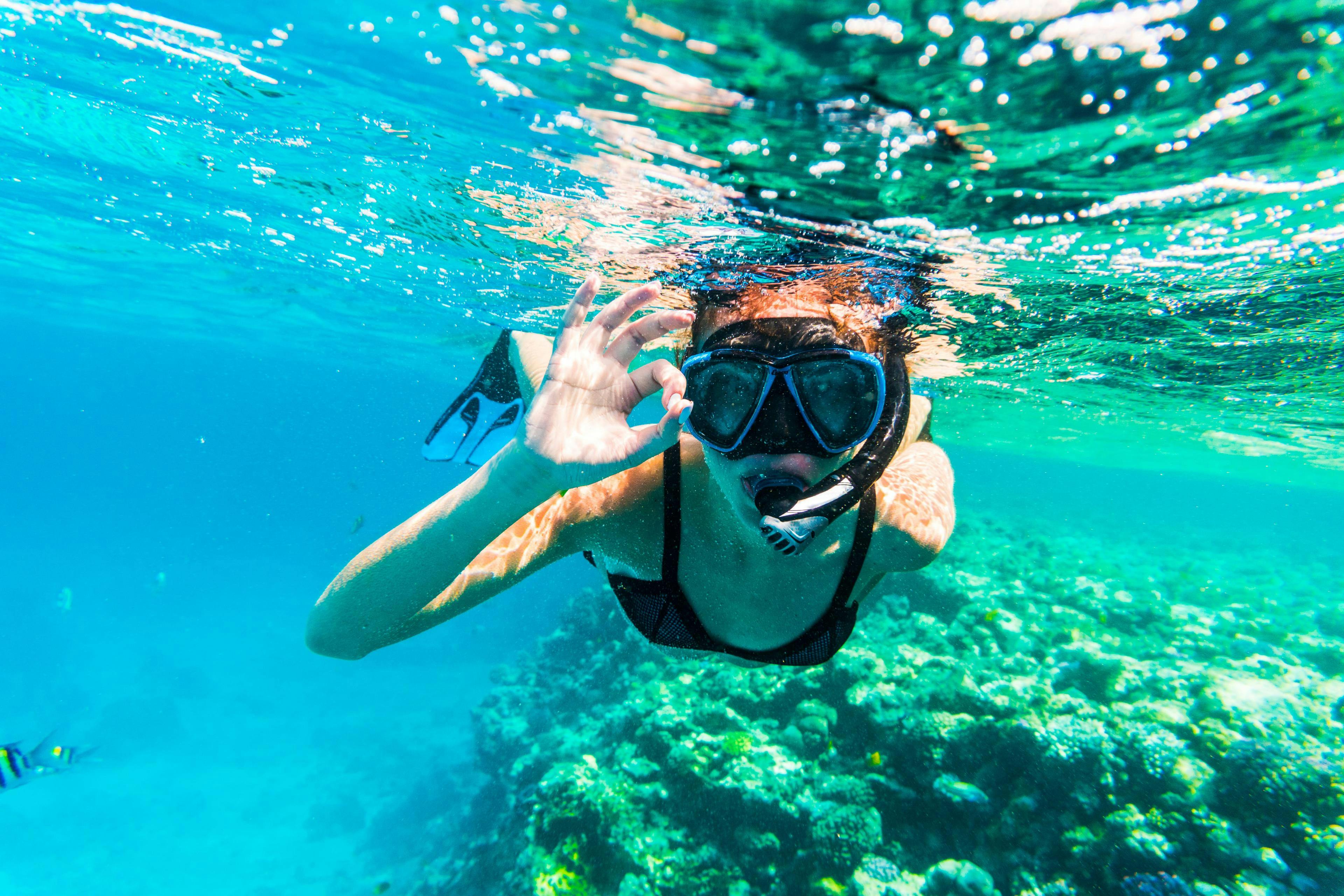 Viaggio di snorkeling con trasferimento di andata e ritorno da Dubai