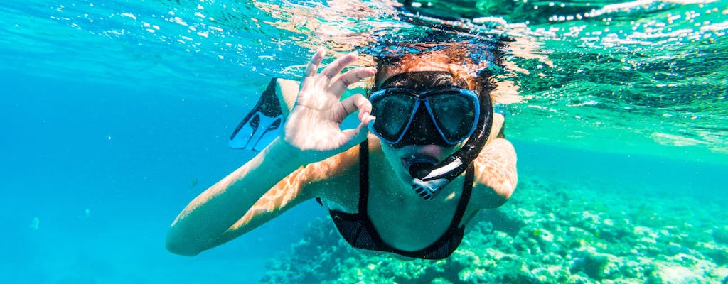 Snorkelling trip with roundtrip transfer from Dubai